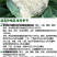 青梗松花菜种子耐热80天春秋播种花椰菜种籽抗热小米粒散