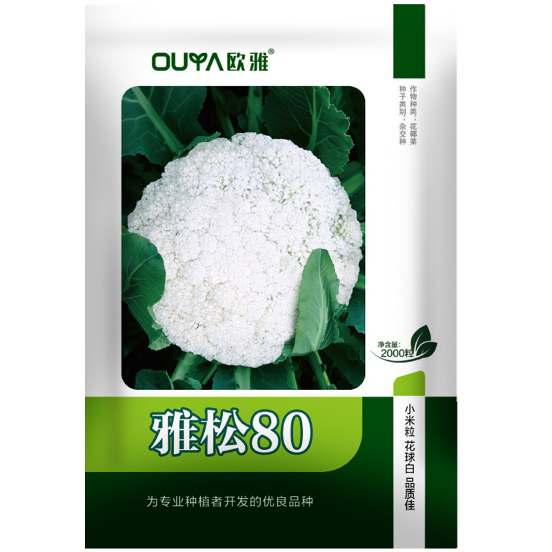 青梗松花菜种子耐热80天春秋播种花椰菜种籽抗热小米粒散