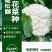 耐热青梗松花菜种子散花白色花椰菜种籽耐寒春秋播种菜花种