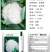 耐热青梗松花菜种子散花白色花椰菜种籽耐寒春秋播种菜花种