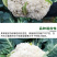 耐热青梗松花菜种子散花白色花椰菜种籽耐寒春秋播种菜花种