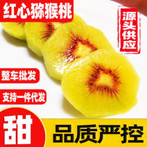 四川蒲江红心猕猴桃批发一件代发核心产区直供包新鲜奇异水果