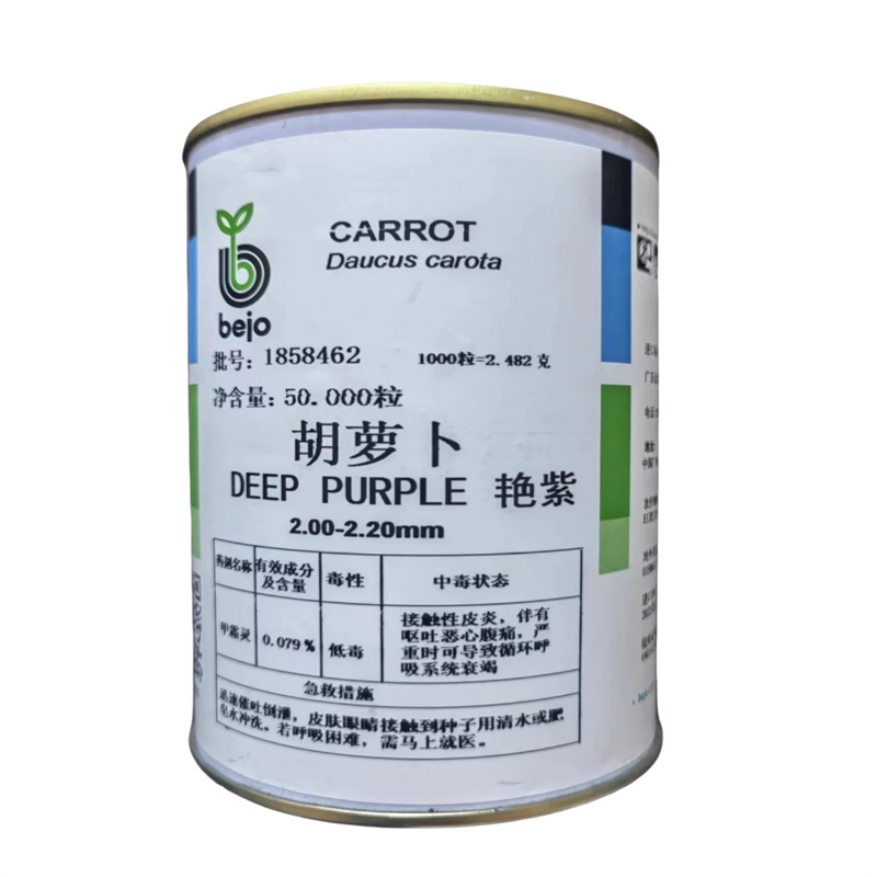 紫胡萝卜种子比久艳紫胡萝卜种子荷兰原装进口杂交一代全紫
