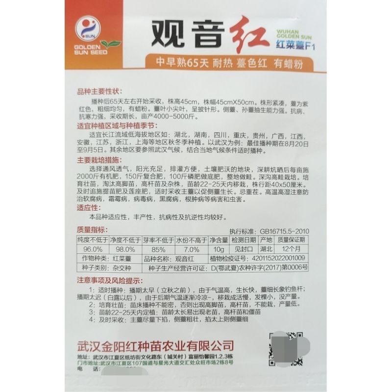 观音红菜苔种子中早熟65天耐热苔色红有蜡粉抗病抗寒