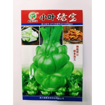 小叶绿宝榨菜种子脆嫩爽口鲜食加工早中熟耐寒抗病