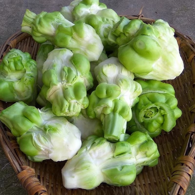 小叶绿宝榨菜种子脆嫩爽口鲜食加工早中熟耐寒抗病