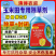 玉米苗后封闭式除草剂正品硝磺莠去津强效封闭除草剂安全不伤