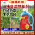 玉米苗后封闭式除草剂正品硝磺莠去津强效封闭除草剂安全不伤
