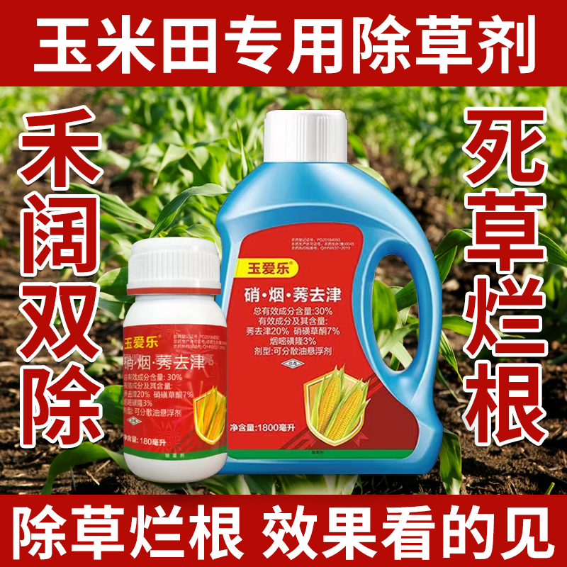 玉米苗后封闭式除草剂正品硝磺莠去津强效封闭除草剂安全不伤