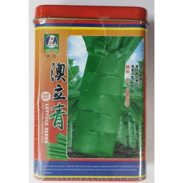 三青莴笋种子圆叶莴笋种子青叶青皮青肉清香浓郁耐寒
