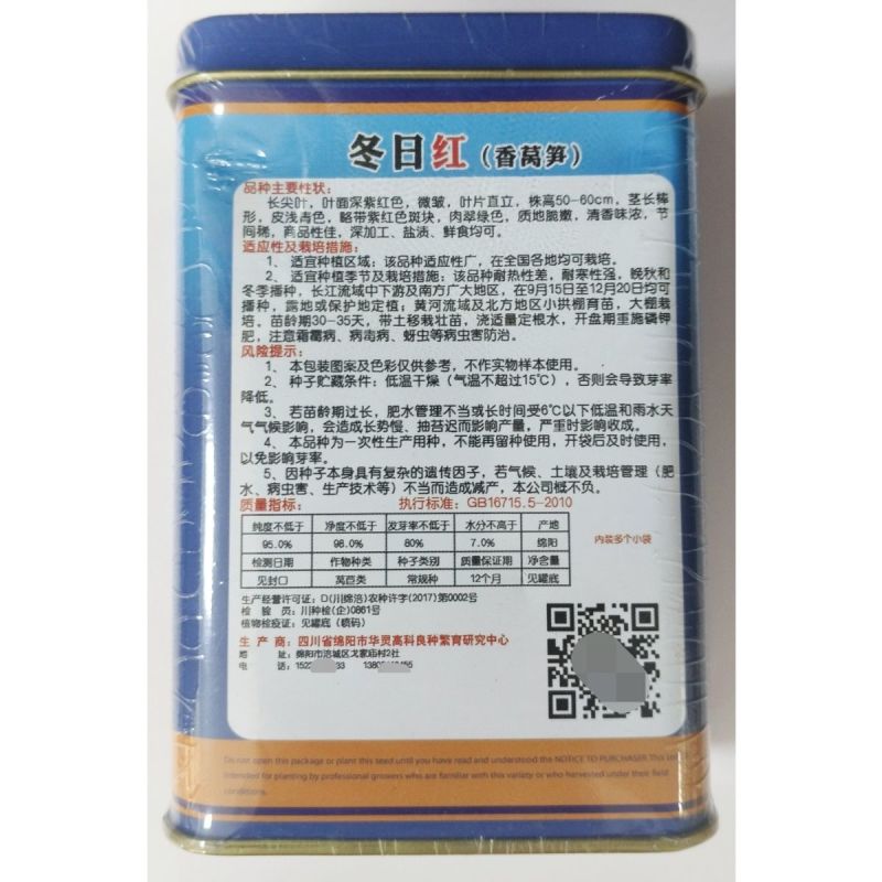 冬日红莴笋种子长尖叶叶面深紫红色肉青绿脆嫩抗病耐寒