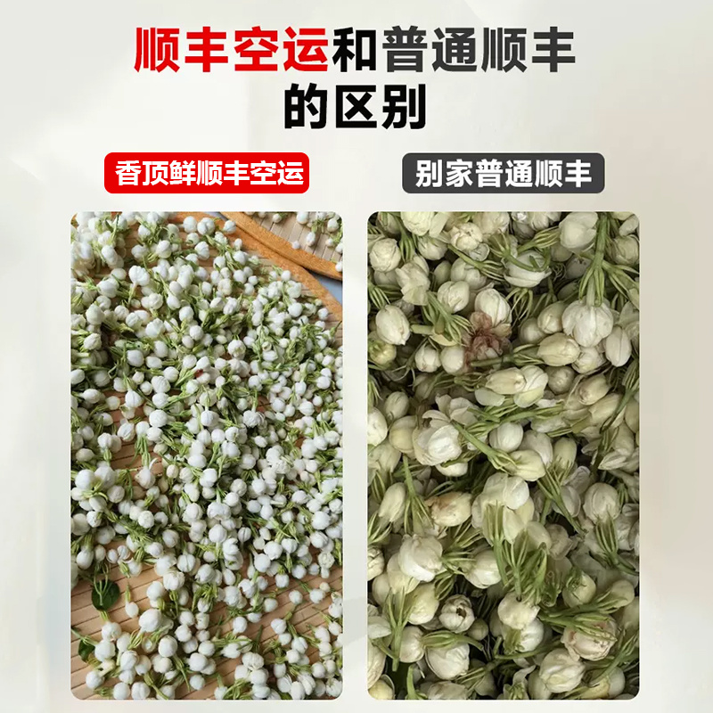 横县茉莉鲜花苞晴天花苞天然香水可手串可食用顺丰空运