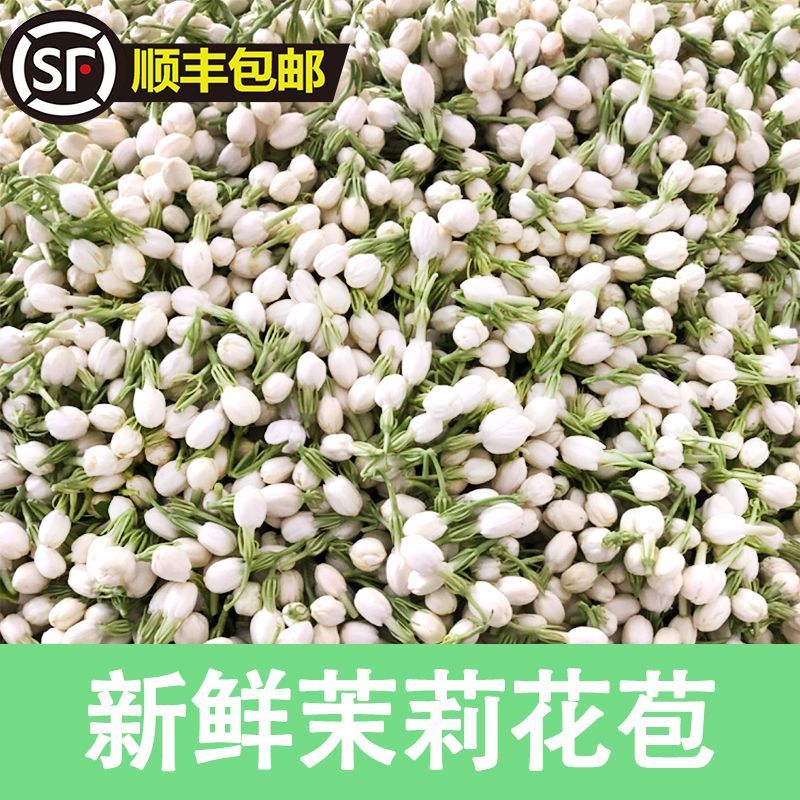 横县茉莉鲜花苞晴天花苞天然香水可手串可食用顺丰空运