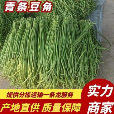 青条豆角大量上市，对接平台，保证新鲜，产地直发，欢迎咨询