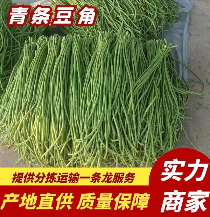 青条豆角大量上市，对接平台，保证新鲜，产地直发，欢迎咨询
