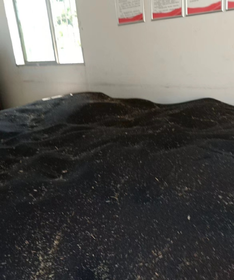 大量供应油茶籽3.15一斤