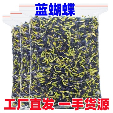 云南农家蝶豆花蓝蝴蝶花木蝴蝶大货批发