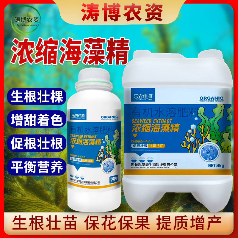 促根壮根靓果抗旱大田作物水溶肥浓缩海藻精通用绿叶
