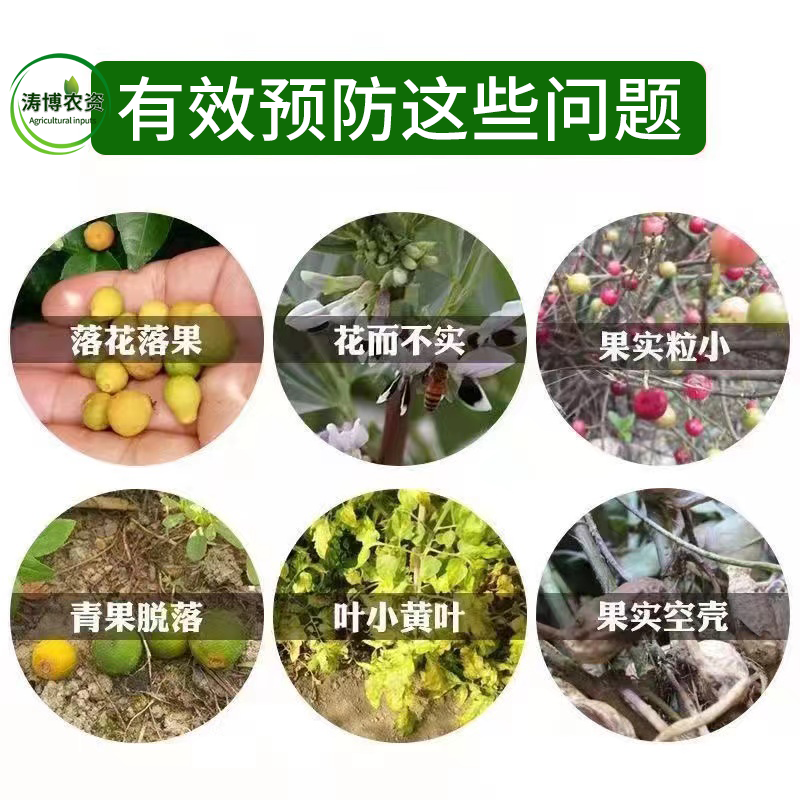 颗粒硼肥微量元素缓释肥底肥提坐果促花果树蔬菜通用正品