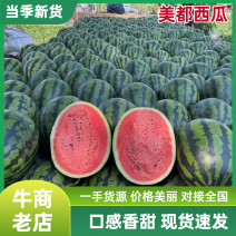 【诚信商家】26年吉林甜王西瓜新鲜价格低一手货源