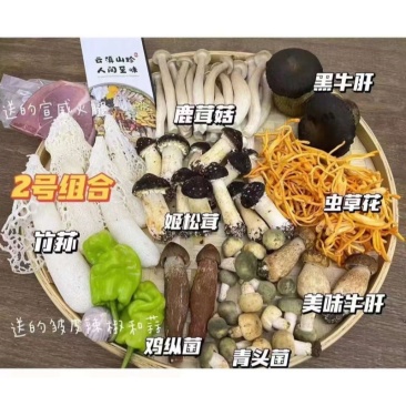 菌子野生菌组合新鲜菌子组合套装