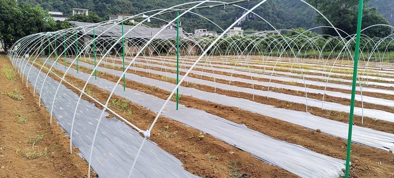 10mm-19mm农用玻纤棒瓜棚蔬菜遮阳小拱棚支撑