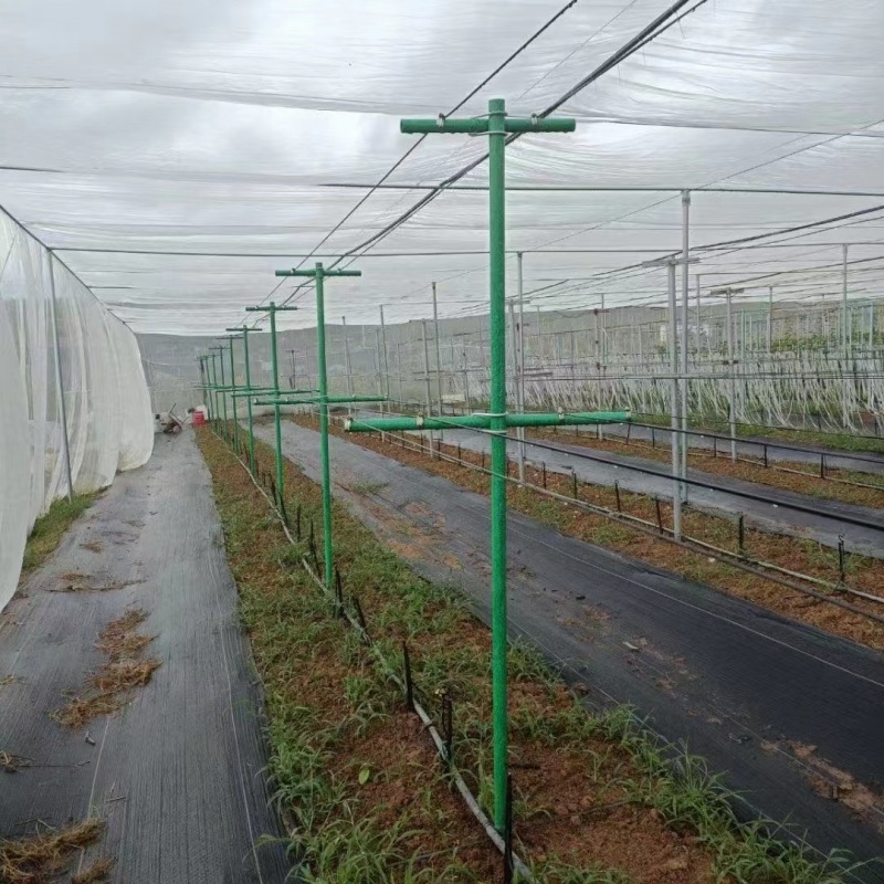 玻璃纤维管空心玻纤杆大棚骨架百香果立柱