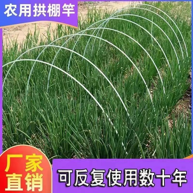厂家直销成套拱棚定制方案量大从优