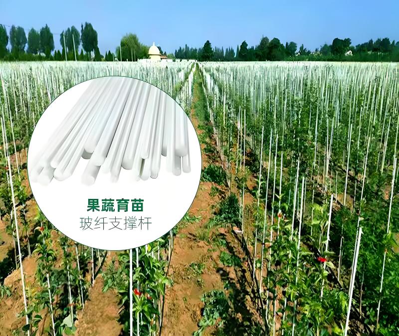 厂家直销成套拱棚定制方案量大从优