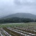 厂家直销成套拱棚定制方案量大从优