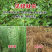 精草铵膦铵盐除草剂连根烂死荒地果园强力除草剂正品批发厂家