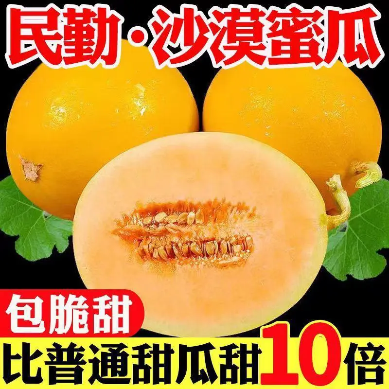 甘肃民勤蜜瓜甜度高品质好对接电商市场等客户