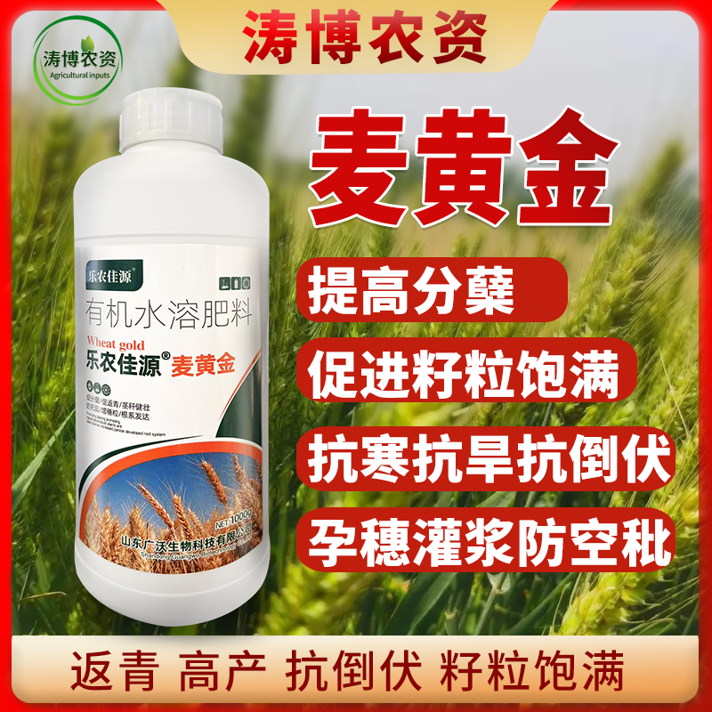 麦黄金叶面肥小麦增产增收专用肥粒粒饱满壮苗抗倒分蘖水溶肥