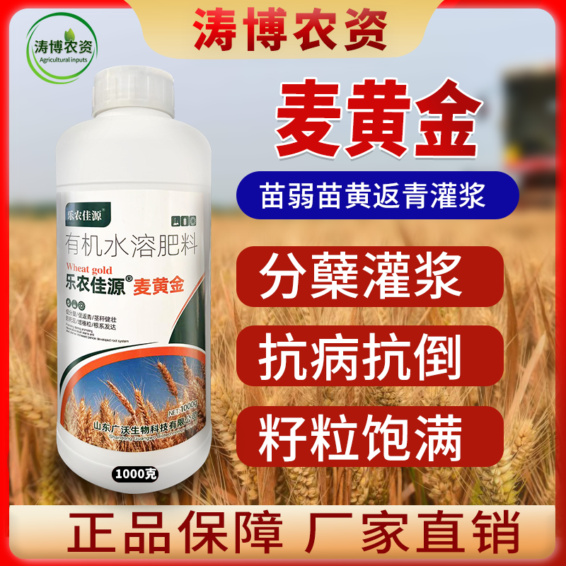 麦黄金叶面肥小麦增产增收专用肥粒粒饱满壮苗抗倒分蘖水溶肥