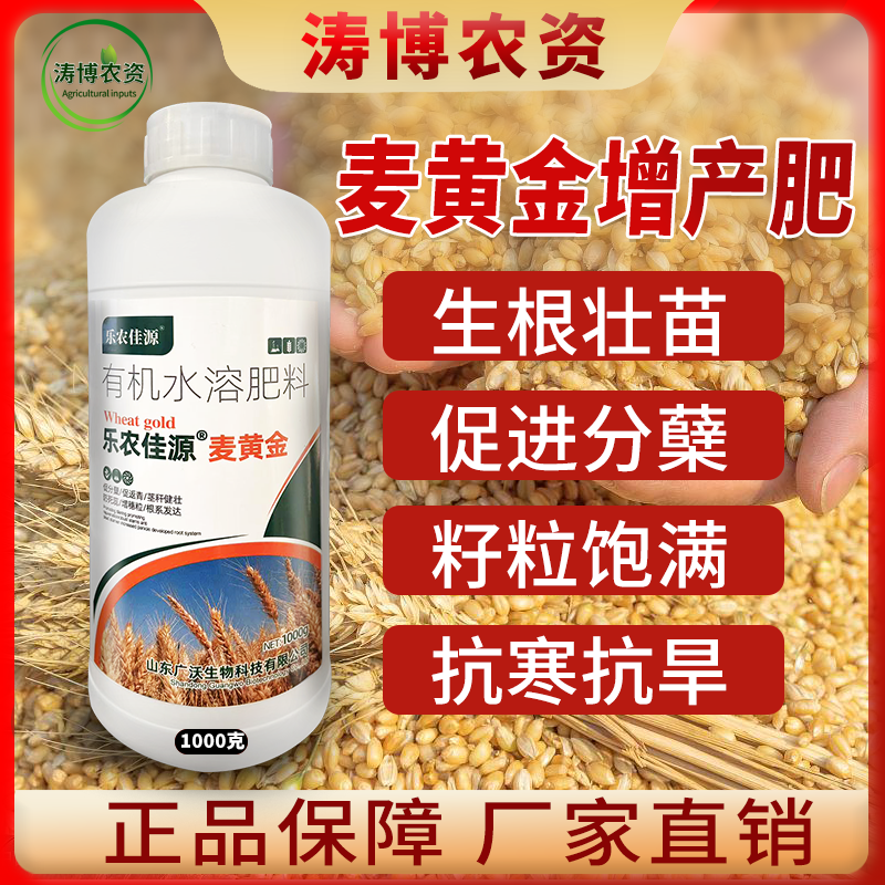 麦黄金叶面肥小麦增产增收专用肥粒粒饱满壮苗抗倒分蘖水溶肥