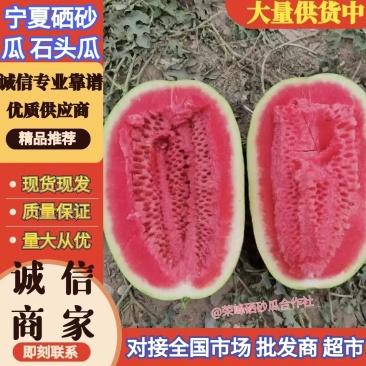 推荐硒砂瓜石缝瓜石头瓜宁夏硒砂瓜品质保证价格优