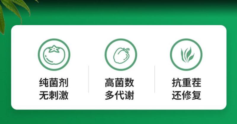 【官方自营】航天恒丰200亿修复型菌剂防枯萎黄化促生根