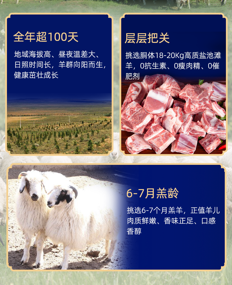宁夏盐池滩羊肋排肉砖无骨羊肋排肉新鲜现宰冷冻生羊肉涮火锅