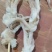 鱿鱼须大量供应品质保证厂家批发对接烧烤店大量供应