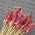 鱿鱼须大量供应品质保证厂家批发对接烧烤店大量供应