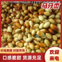 山东马牙枣（鲜枣）冬枣，大量现货供应，诚信经营代发全国