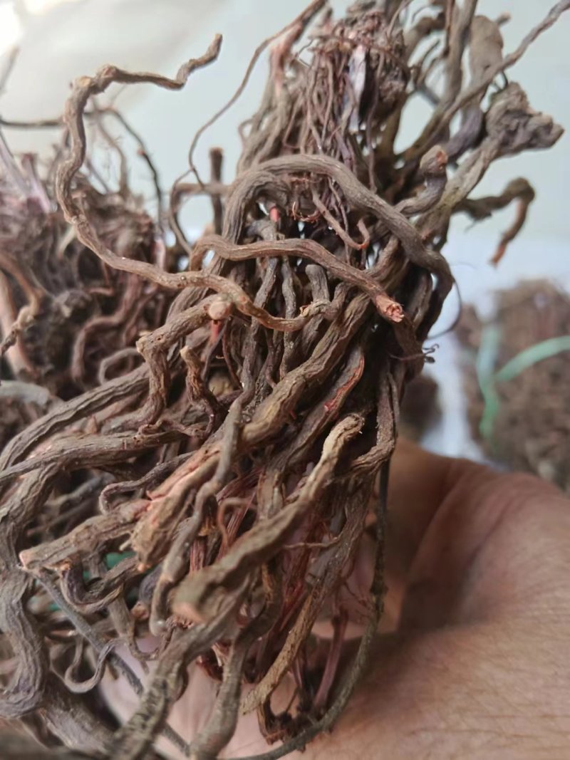 红茜草产地直发量大从优欢迎电联优质红茜草各种药材