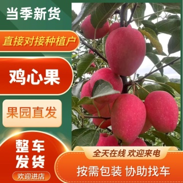 【实力推荐】辽宁西丰双榆鸡心果又名海棠果产地直发