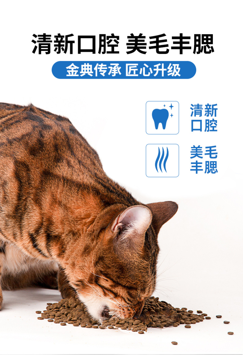 猫粮工厂批发鲜肉无谷全价全期猫粮5斤装