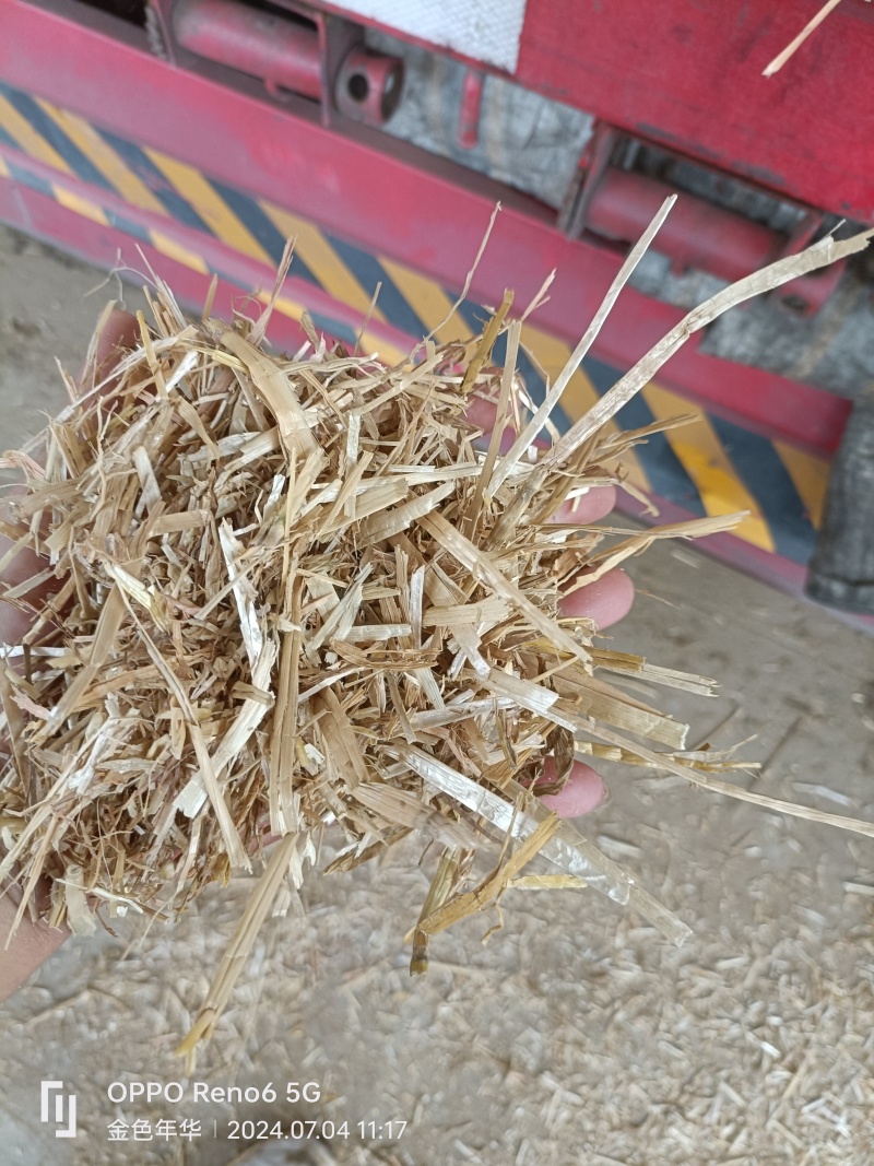 精品麦子秸秆原料量大质优价格优惠欢迎咨询采购