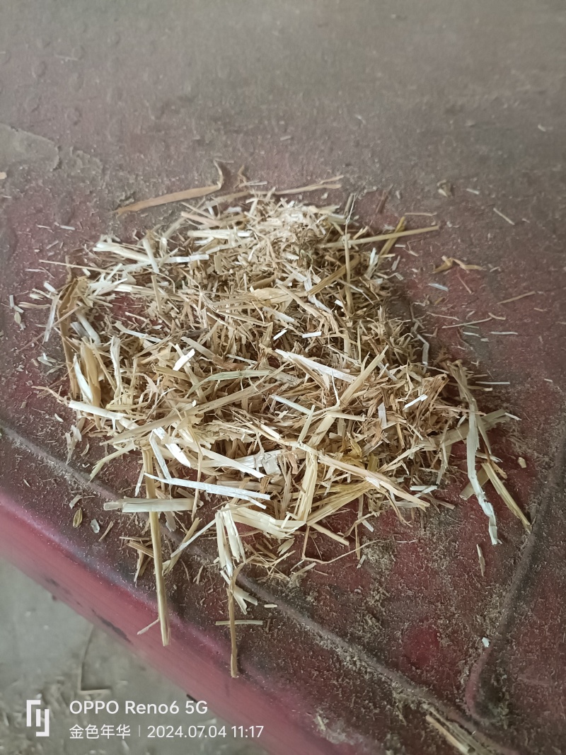精品麦子秸秆原料量大质优价格优惠欢迎咨询采购