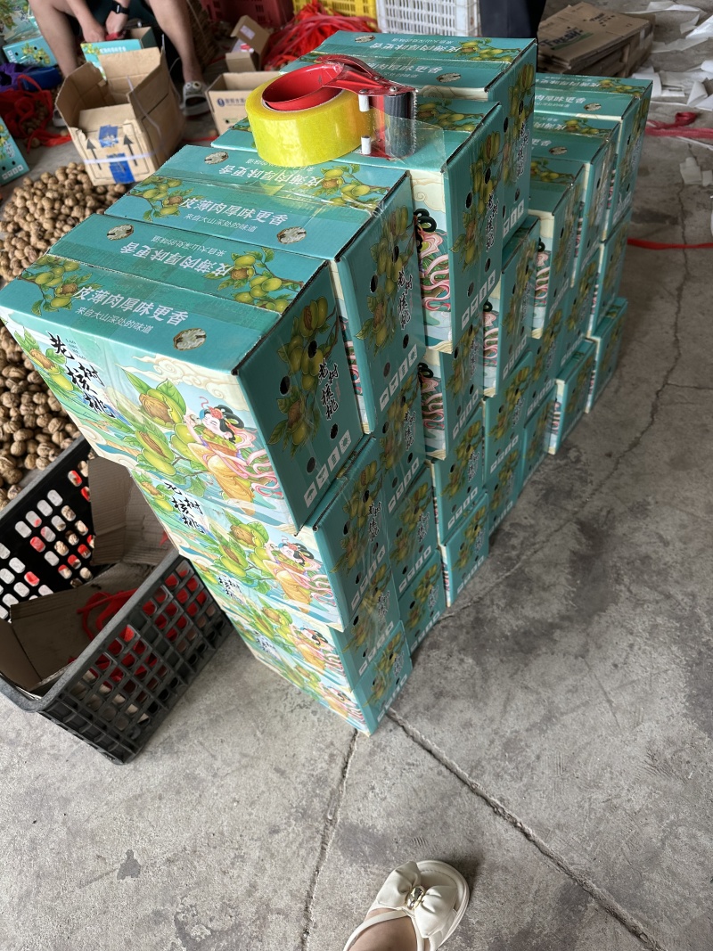 批发四川凉山新鲜精品青皮核桃现货现发货源充足全国发货零售