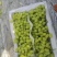 【实力推荐】河北饶阳万亩葡萄基地维多利亚葡萄全国发货