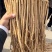 精品岷县党参原产地发货量大从优品质无忧可视频看货