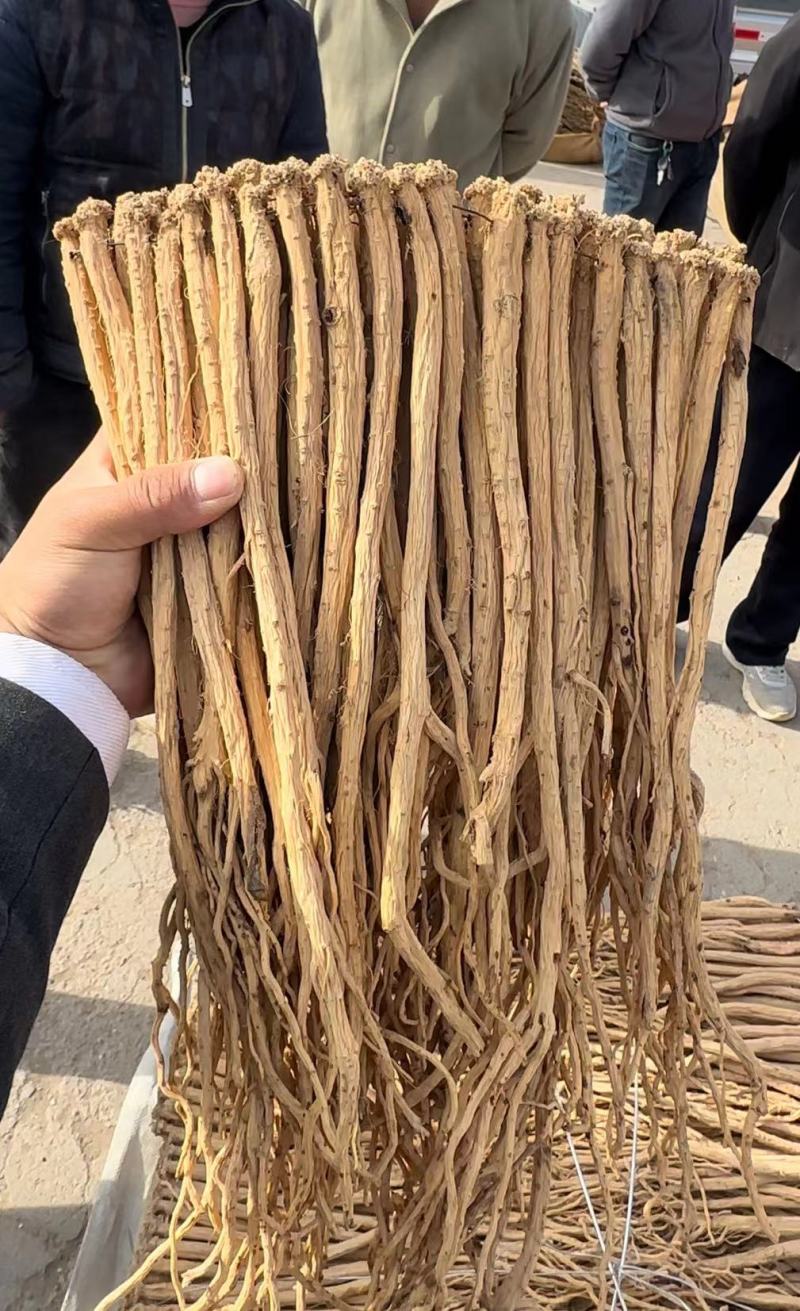 精品岷县党参原产地发货量大从优品质无忧可视频看货